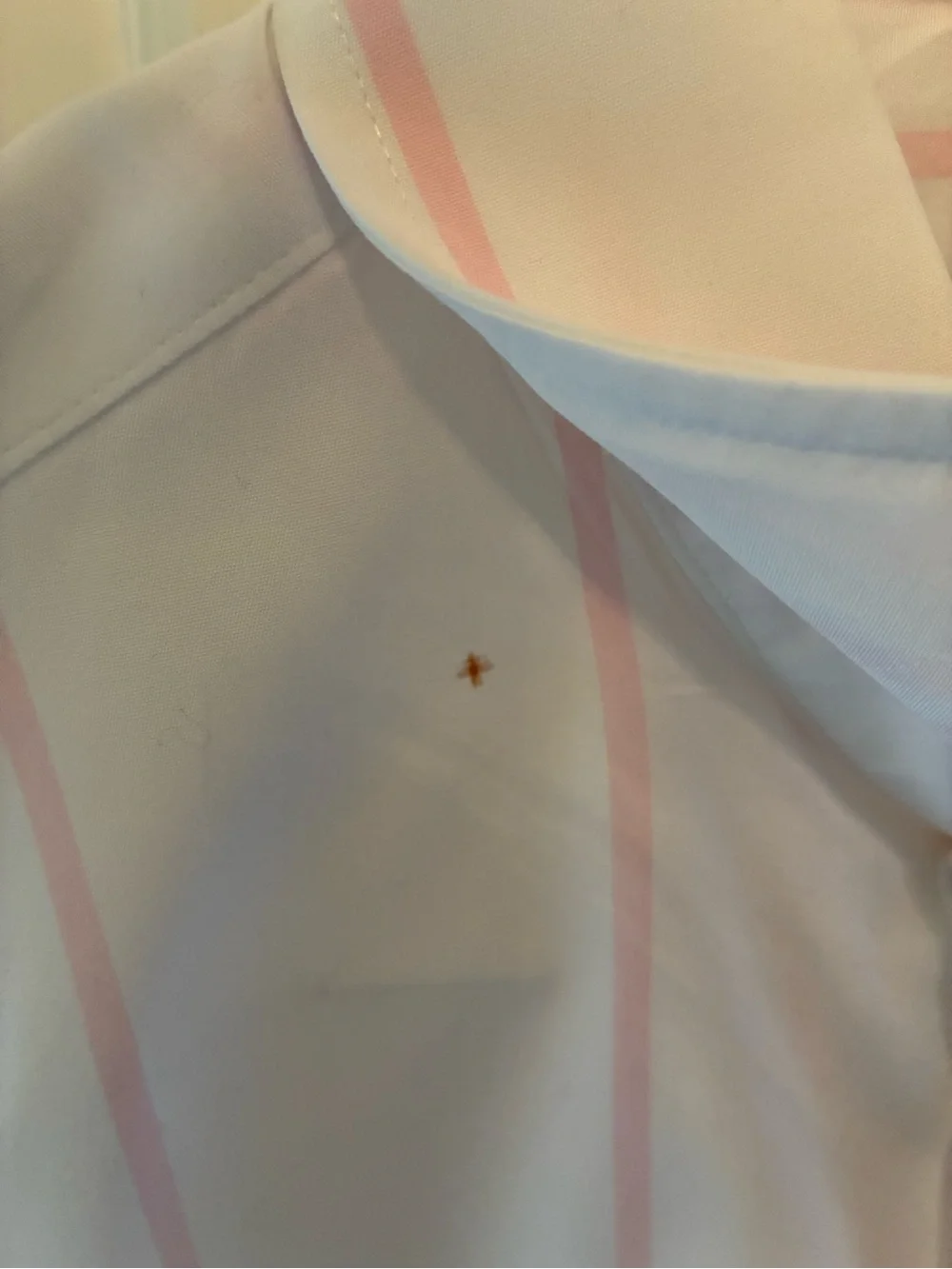 J. Crew Men's Ludlow Premium White Dress Shirt with Pink Stripes. Size 15 1/2-34